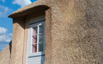 Dingleden thatch roof disadvantages