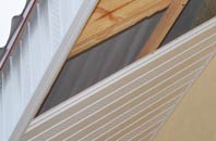 rated Dingleden soffit repair companies